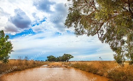 Flooded street in the outback at Dubbo Australia