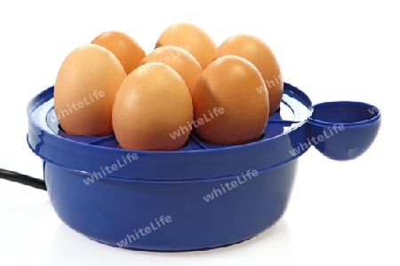 Eierkocher freigestellt auf weissem Hintergrund