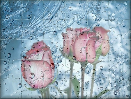 Puzzle - Romantisches Wandbild / Poster.Motiv Blumen