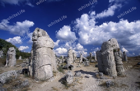 the stone forest near the city of Varna on the Blacksea in Bulgaria in east Europe.