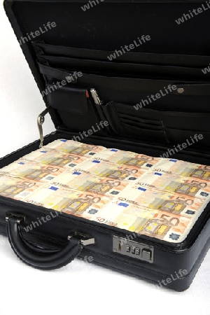 Koffer voller Geld, 50 Euro Noten, Geldscheine