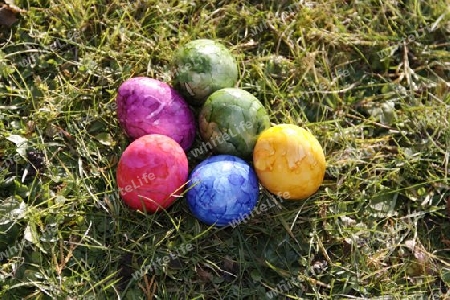 six easter eggs on the grass