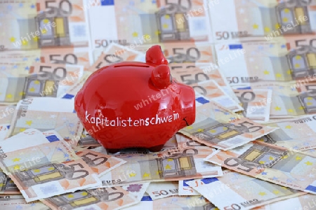 Sparschwein mit der Aufschrift " Kapitalistenschwein" und diversen 50 Euro Banknoten