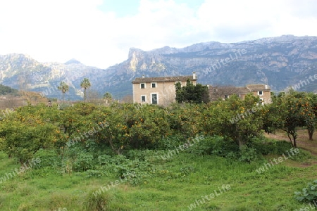 Landhaus mit Obstplantage in Soller, Mallorca