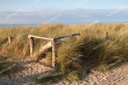 Zaun auf einer Duene im Hintergrund die Ostsee - Fence on a dune in the background the Baltic Sea