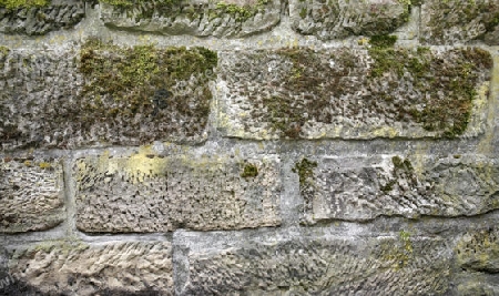 detail of a old mossy overgrown sandstone wall