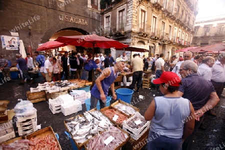 Europa, Italien, Sizilien, Catania
Der traditionelle Fischmarkt in der Altstadt von Catania an der Mittelmeer Kueste im osten von Sizilien.       (Urs Flueeler) 