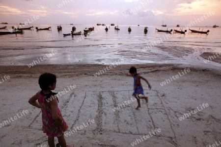 Kinder spielen am Strand auf der Insel Ko Tao im Golf von Thailand im Suedwesten von Thailand in Suedostasien.