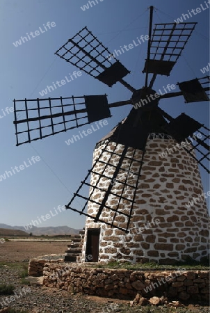 a Windmill near the Village of Antigua on the Island Fuerteventura on the Canary island of Spain in the Atlantic Ocean.