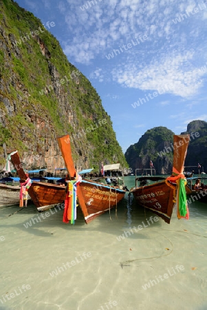 The Maya Beach  near the Ko Phi Phi Island outside of the City of Krabi on the Andaman Sea in the south of Thailand. 