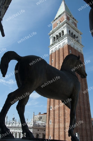 Wahrzeichen mit Pferd - Venedig