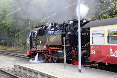 Einfahrt der Brockenbahn vom Bahnhof Brocken kommend in den Bahnhof  "Drei Annen Hohne". 25 Dampflokomotiven sind zur Zeit im Harz in Einsatz. Das ist weltweit einmalig. Die Dampflokomotiven sind erlebbare historische Technik unterschiedlicher Art. S