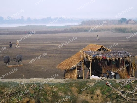 Landwirtschaft am Irrawaddy in Myanmar