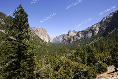 typische Landschaftsform mit  Merced River im Yosemite Nationalp