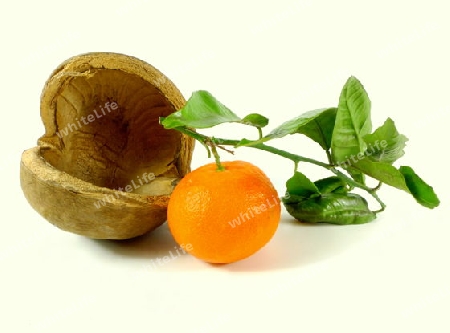 Mandarine mit Nussschale