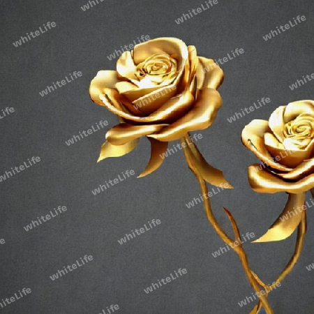 goldene rosen
