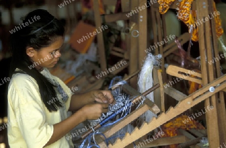 a weaving women working in a Farmer village outside of the city of phnom penh in cambodia in southeastasia. 