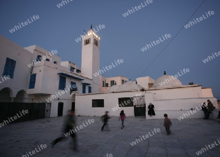 Afrika, Nordafrika, Tunesien, Tunis
Die Moschee mit dem Minarett in Altstadt von Sidi Bou Said am Mittelmeer und noerdlich der Tunesischen Hauptstadt Tunis.






