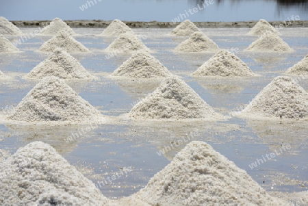 Ein Salzfeld zur gewinnung von Meersalz suedwestlich der Stadt Bangkok in Thailand in Suedostasien.