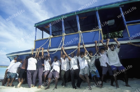 
Ein Holzboot wird von starken Arbeitern auf Meer geschoben, dies im Resort und Insel Vakarufalhi im Ari Atoll auf den Inseln der Malediven im Indischen Ozean