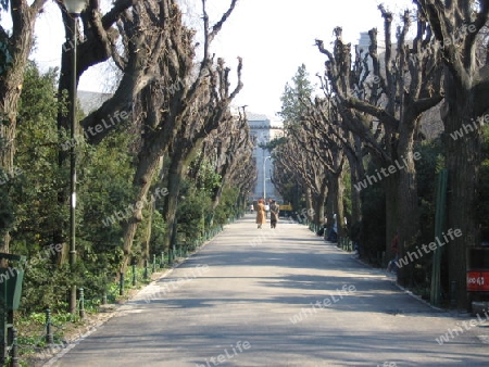 Alley in Cismigiu Park