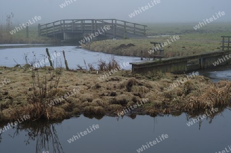 fields and bridge in the fog