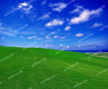 green field with blue sea