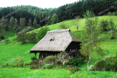 Typisches Schwarzwaldhaus