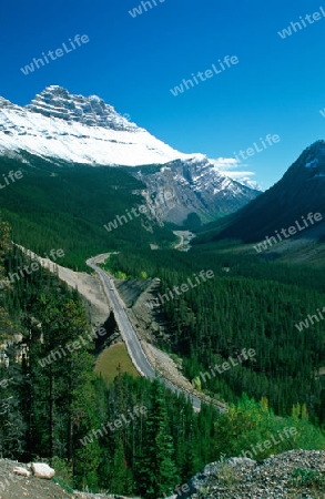 Icefield Parkway in den Rocky Mountains in Kanada