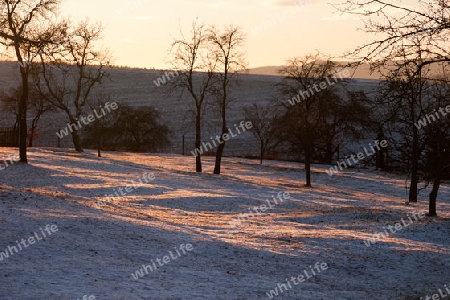 Landschaft im Winter im Gegenlicht