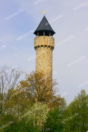 Wartburg Castle tower in Freimersheim, Germany    der Wartburgturm bei Freimersheim,Deutschland