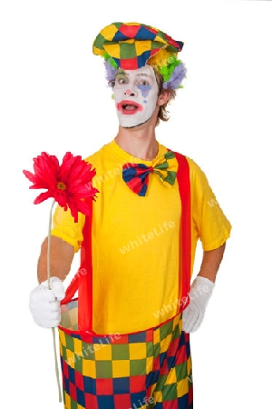 Farbenfroher Clown freigestellt auf weissem Hintergrund