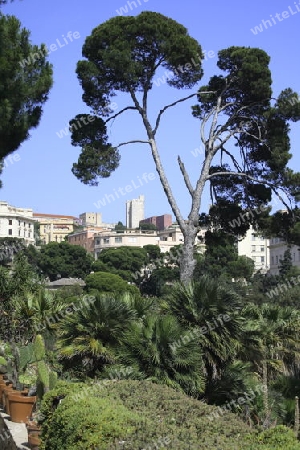 Cagliari, Botanischer Garten