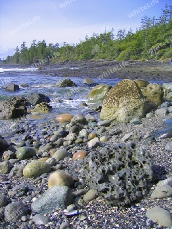 Boulders at Botanical Beach