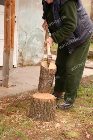 Tree log
