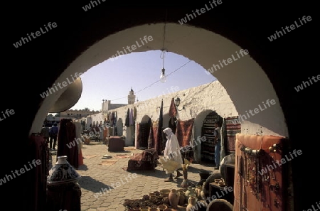 Das Dorf von Douz in der Sahara Wueste  im zentralen sueden in Tunesien in Nordafrika.