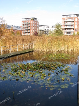 Natur und Architektur. Bahrenpark in Hamburg