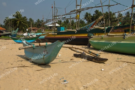 Fischerboote in Galle - Sri Lanka