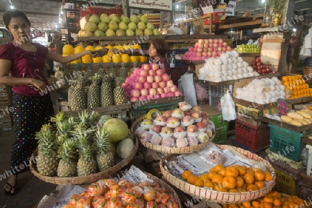 a fruit market in a Market near the City of Yangon in Myanmar in Southeastasia.