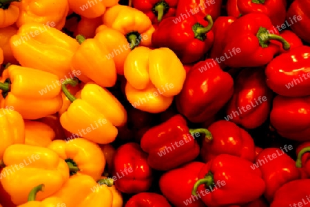 Gelber und roter Paprika