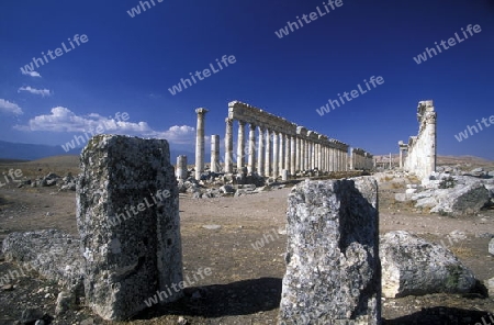 Die Ruinen von Apamea im Nordwesten von Syrien im Nahen Osten.