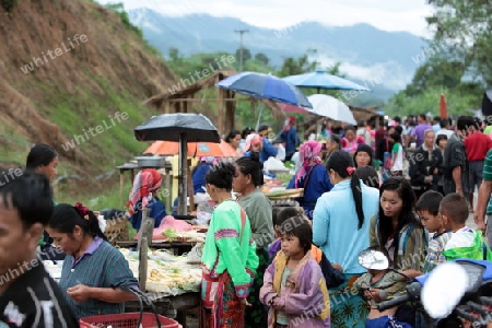Der Wochenmarkt beim Dorf Chiang Dao noerdlich von Chiang Mai im Norden von Thailand.