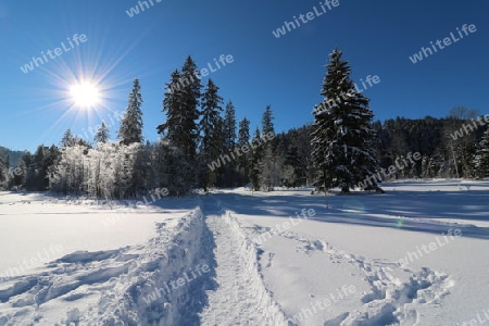 Schneelandschaft am Spitzingsee