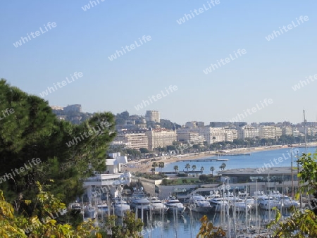 Yachthafen Cannes
