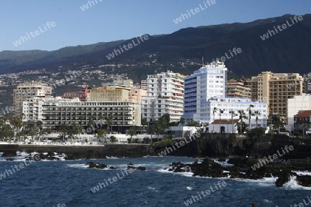 The coast in the village of  Puerto de la Cruz on the Island of Tenerife on the Islands of Canary Islands of Spain in the Atlantic.  