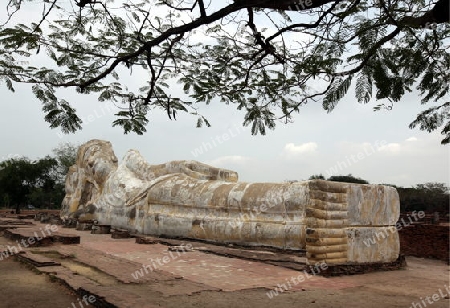 Der Liegende Buddha im Wat Lokaya Sutha Tempel in der Tempelstadt Ayutthaya noerdlich von Bangkok in Thailand.  (KEYSTONE/Urs Flueeler)