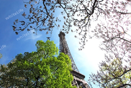 Eiffelturm aus der Froschperspektive