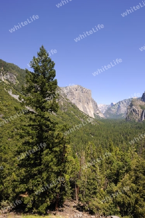 typische Landschaftsform mit  Merced River im Yosemite Nationalp