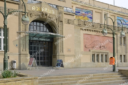 Aquarium des Zoo Berlin, Olof Palme Platz, Berlin, Deutschland , Europa, oeffentlicherGrund