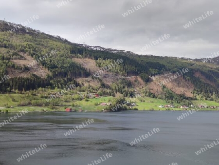 Fjordlandschaft bei Nordfjordeid, Norwegen